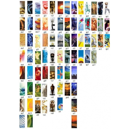 Вертикальный коллагенарий "C2"